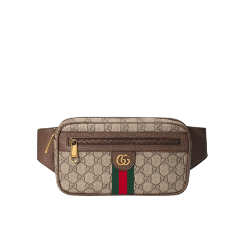 Gvc*1 Gg Ophidia Belt Brown Bag 24Cm 574796 97Sit 8747